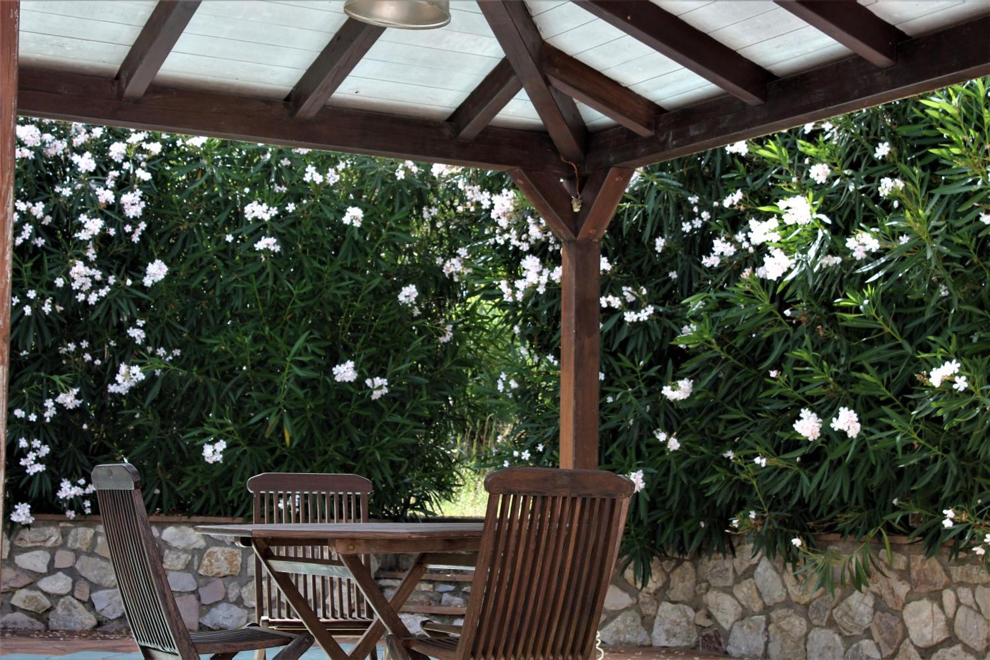 Residence Les Oliviers Porto Azzurro Exterior photo